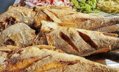 Savourer l’Héritage Gastronomique Ivoirien!