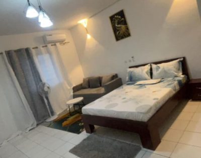 Assiénie Studio Meublé Riviera Bonoumin