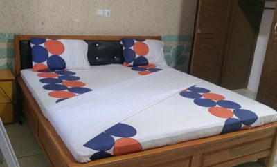 Les oliviers Studio Jacqueville