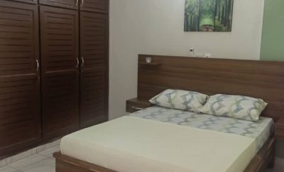 Les oliviers Studio Jacqueville