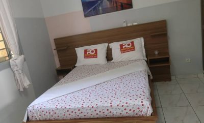 Les oliviers Studio Jacqueville