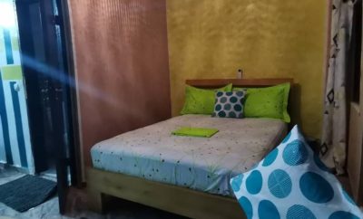 Vicky Studio 2 Blockhauss