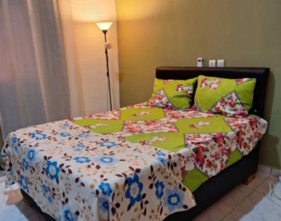 Celeste Studio Angre